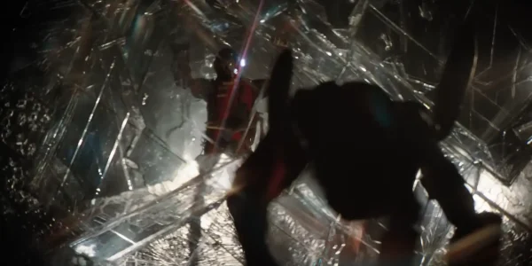 初めて会った人間のグレースの動きを真似する人懐っこいロッキー