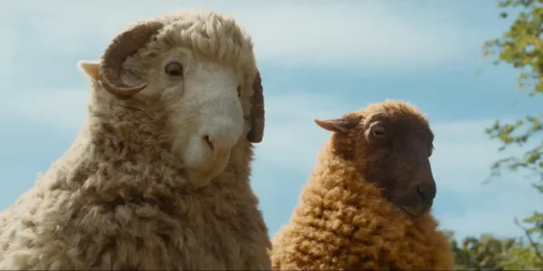 映画『ひつじ探偵団』に登場する、本物と見紛うほどリアルなCGのひつじたち